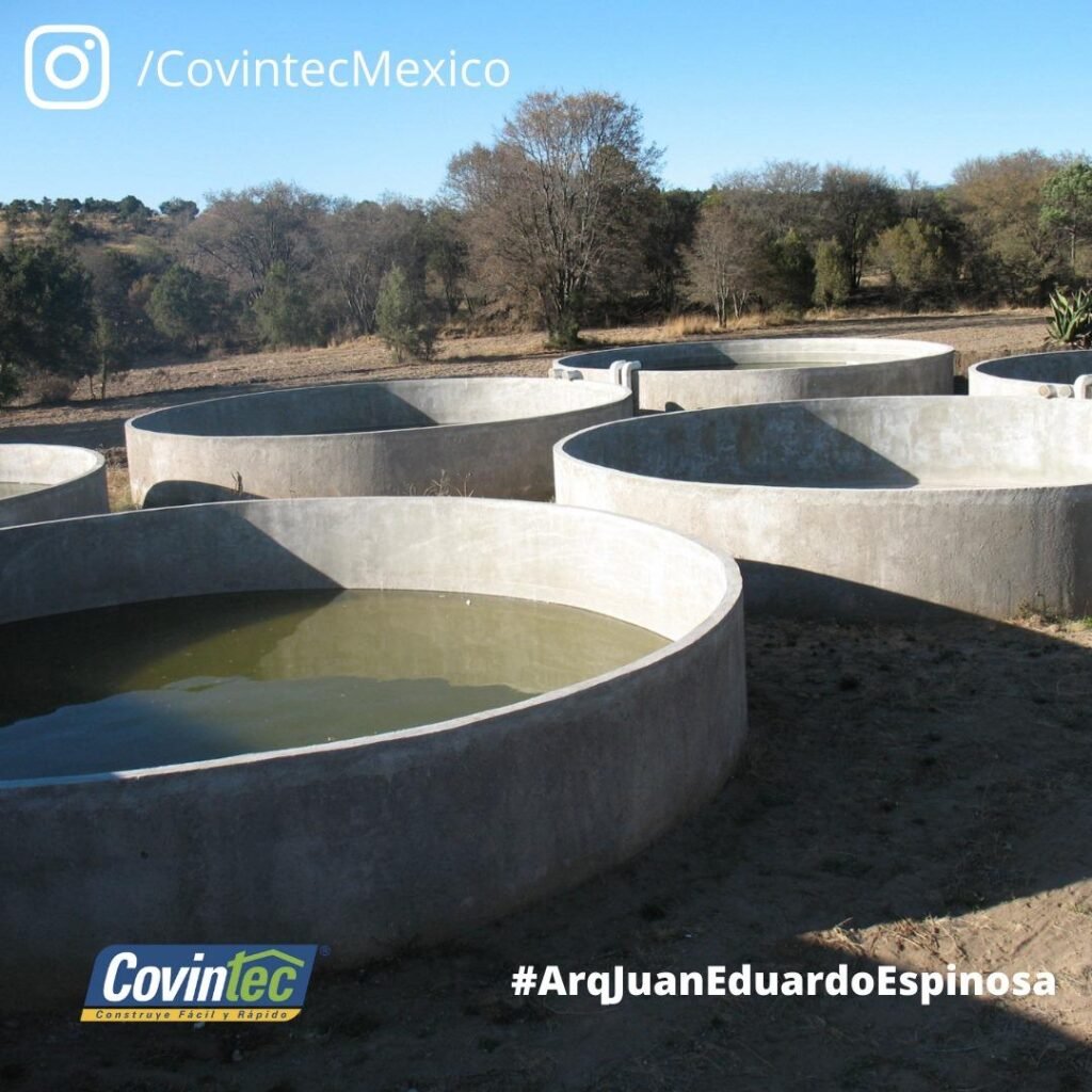 241145676 2954266064841134 6236247979104764322 n