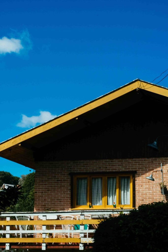 pexels athena 2371974 (1)