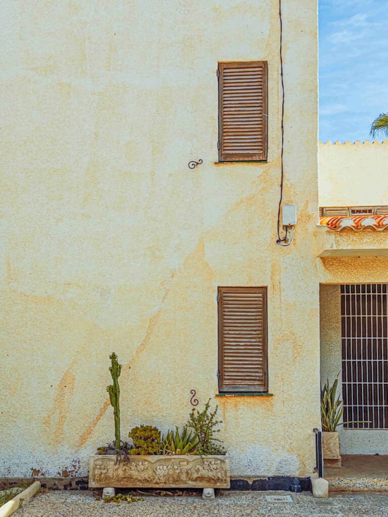 pexels santiago manuel de la colina 520897 34928090 (1)